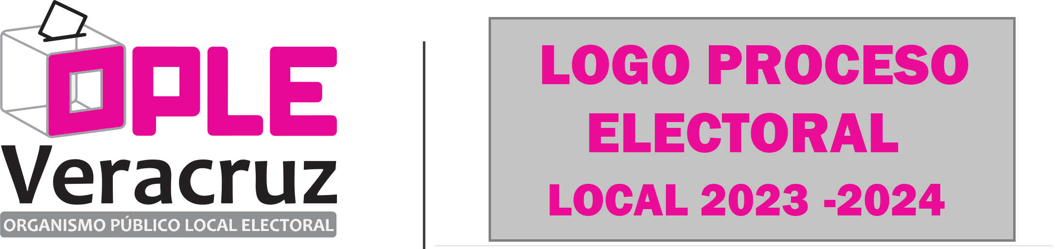 OPLE Veracruz y REDEM Logos
